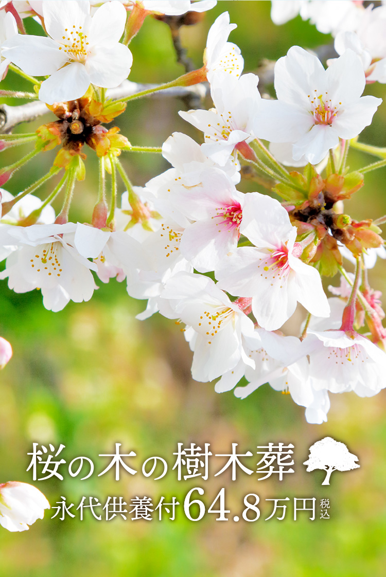 イメージ1