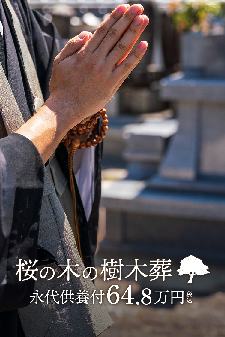 イメージ2