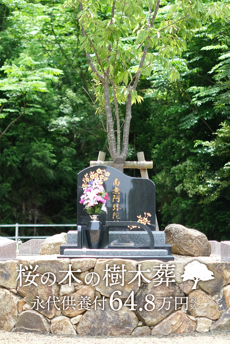 イメージ4